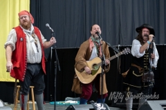 salon-passion-medievale-1-239